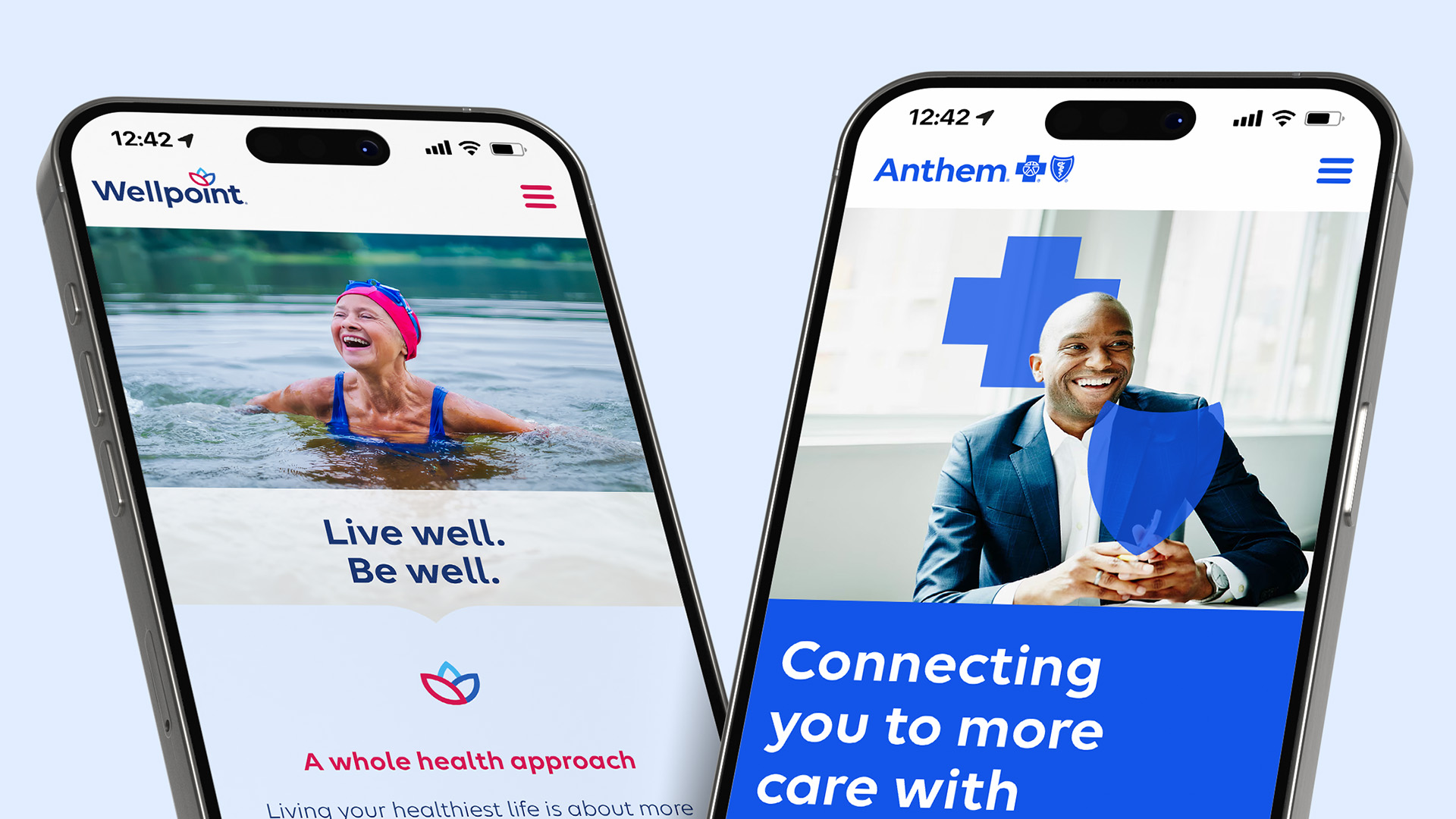 Wellpoint & Anthem Brand Conversion