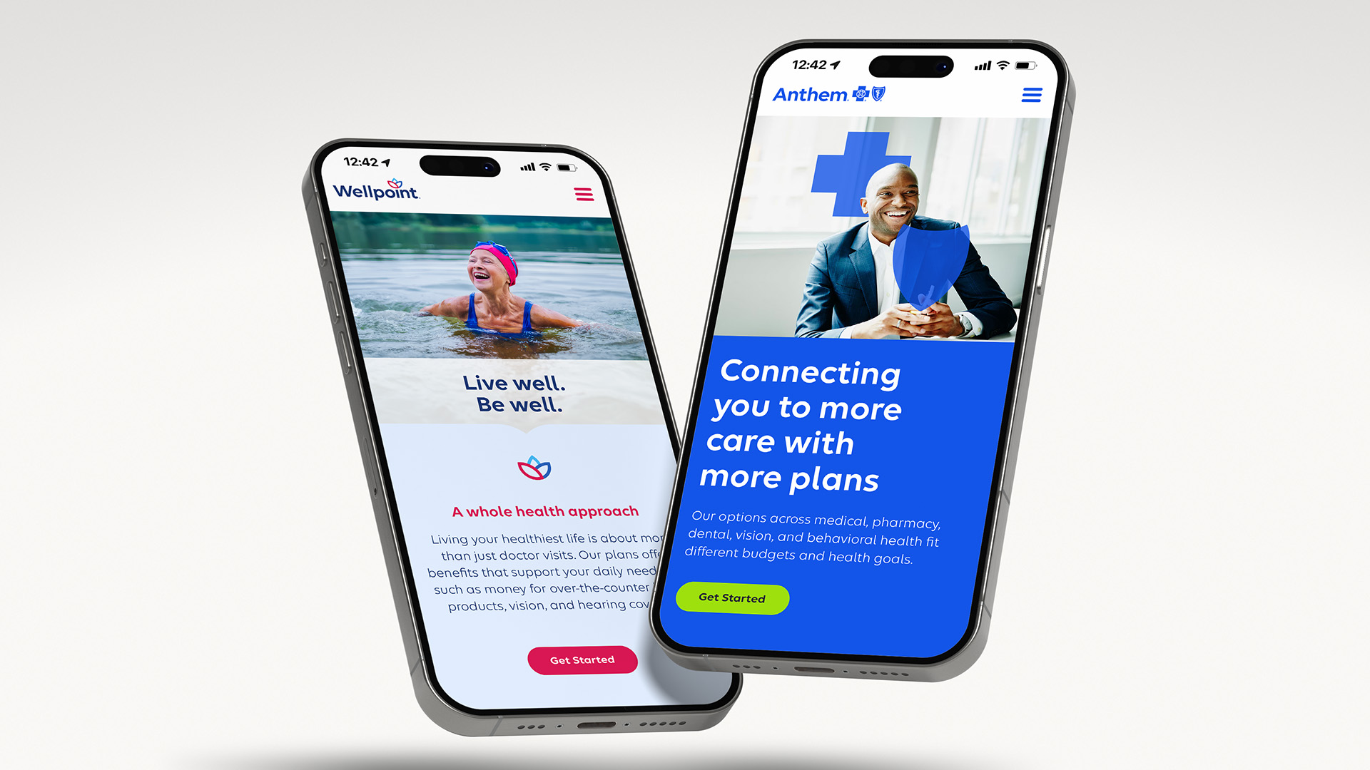 03-elevance-brand_governance